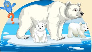 Полярные Животные - Белый Медведь - Логика Для Детей - Мультики Про Животных