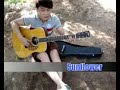 Sunflower-Paddy Sun-Guitar Garden 2
