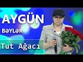 Aygün Bəylər - Tut Ağacı  (Nanəli)