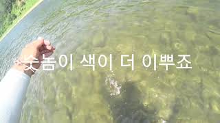 끄리낚시(폭염속에 멀잡겠다고)