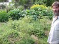 Zero Blight/Mildew on squash w/ Horsetail/Equisetum