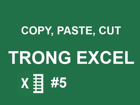 Hướng dẫn sử dụng Excel cơ bản: Copy, paste, cut dữ liệu trong Excel