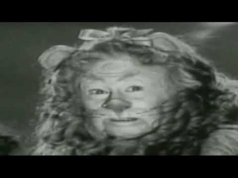 COWARDLY LION COSTUME FROM 'THE WIZARD OF OZ' . WHERE IS IT NOW?
