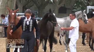 rencontres equestres beaucaire 2012