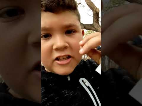 El desastre del parque de la granja (burjasot)