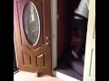 videos de risa