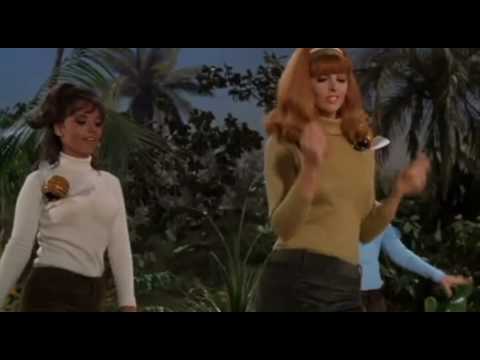 The Honeybees - You need us