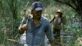 Adaptation - Trailer - HQ