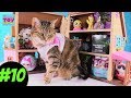 Blind Bag Dollhouse #10 Unboxing Disney Baby Secrets LOL Surprise | PSToyReviews Blind Bag Dollhouse #10 Unboxing Disney Baby Secrets LOL Surprise | PSToyReviews
