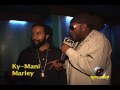 Interviews Kymani Marley Tallpree Lyrikal Ricky Brown Hosted by: Lloydie D Stiff (HypeVideo.com)