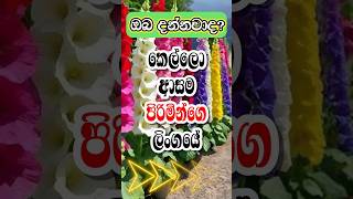 ඇතතටම ඒ මකකද කයල දනනවද