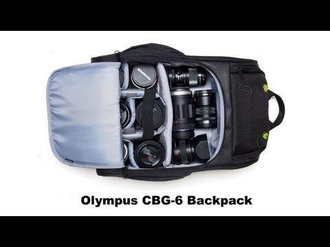 Olympus forex review