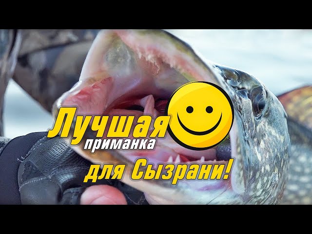 ЛУЧШАЯ приманка для Сызрани. ДЖИГ на Волге в конце сезона