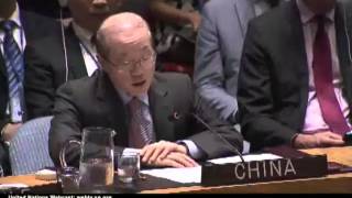 трибунал по Boeing: Китай воздержался. казуистика. Совбез ООН 29.07.2015