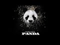 Desiigner Panda Audio Desiigner Panda Audio
