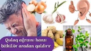 Qulaq Ağrısını Hansı Bitkilər Aradan Qaldırır?