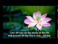 Sai lầm lớn nhất là muốn cuộc đời tốt đẹp theo ý mình - Hỏi đáp - HT Viên Minh giảng