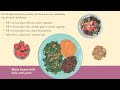 What Diet Should Physicians Recommend?