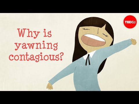 Why is yawning contagious? - Claudia Aguirre