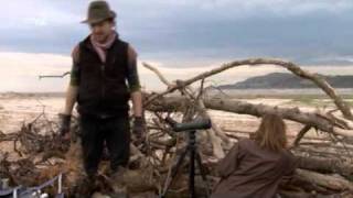 Bill Bailey's Birdwatching Bonanza - Part One
