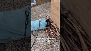 Stick Library Decisions Must Not Be Rushed