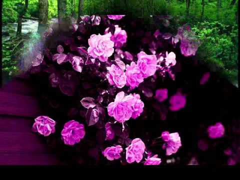 TERE LIYE DJ SARWAR(LOVE MELODY MIX)