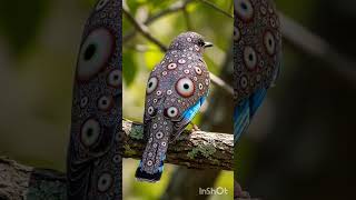 Unseen Birds Creative Ai