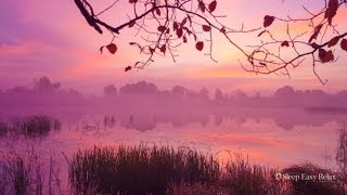 Calming Zen Healing Sleep Music, Remove Anxiety and Sleep Problems, Deep Dream Relaxation ? 29