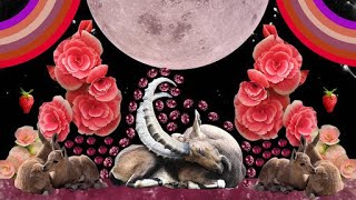 Gently Down the Stream! - Full Moon in Capricorn Insights