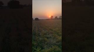 Real Simple Rural Villagelife