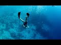 movingsurfpictures