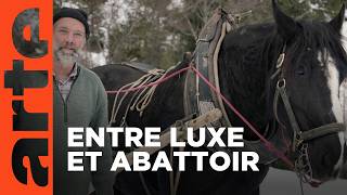 Histoire De La Domestication 22 De Lâge Industriel À Nos Jours Arte