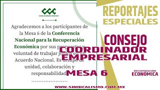 MESA 6.- ATENCIÓN A LA CRISIS EN LAS CADENAS DE VALOR DE LA INDUSTRIA.