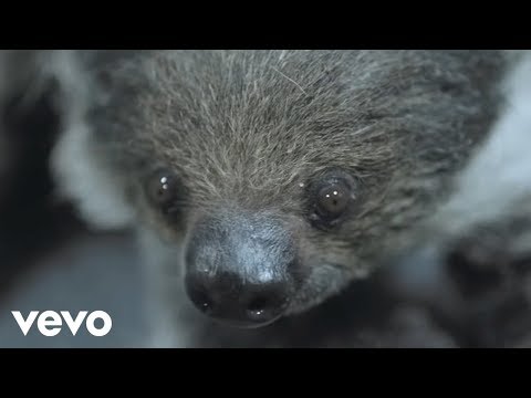 Inhale Video