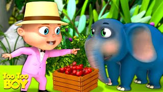Jungle Camp Episode | TooToo Boy | Cartoon Animation For Children | Funny Comedy