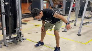 Ejercicios para entrenar en el gimnasio