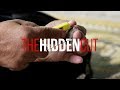 How female circumcision is still practised in Malaysia | The Hidden Cut