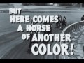 Download The Story of Seabiscuit (1949) Online Movie The Story of Seabiscuit (1949) Free Stream Movie