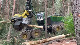How John Deere Harvester  1270G And Forwarder 1510G Machines Work In The #Madera #Viral #Harvester