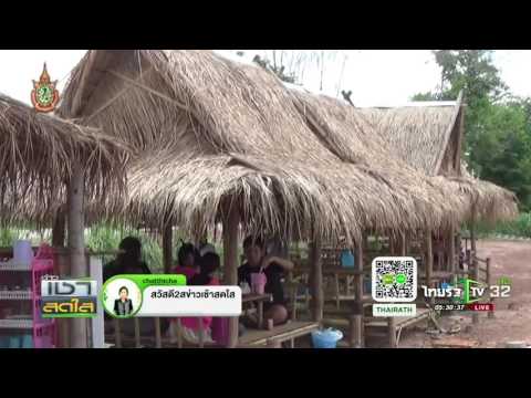 อุดรธานี ไก่กระบอกขายดี | 29-06-59 | เช้าข่าวชัดโซเชียล | ThairathTV