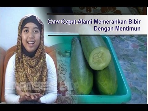 Cara Cepat Memerahkan Bibir Secara Alami Dengan Mentimun Agar Bibir 