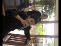 Aksi Lagi Ngamen images Aksi Lagi Ngamen