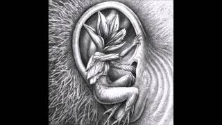 Watch Botanist Vriesea video