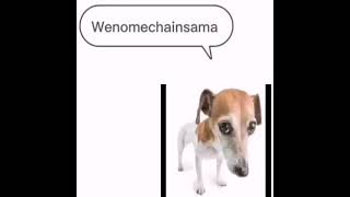 Wenomechainsama