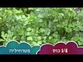 NEW Talia's Hebrew Cooking Video: Black Eyed Peas and Tomato Salad