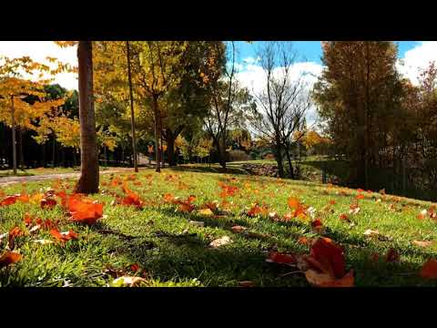 Watching video Under the Stars. Relax Music for Meditation, Sleep, Healing Therapy, Yoga