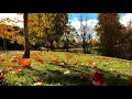 Watching video Under the Stars. Relax Music for Meditation, Sleep, Healing Therapy, Yoga