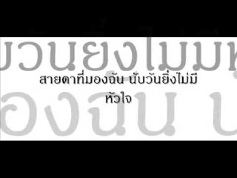 เนื้อเพลง ถ้ามันมี แมว จิระศักดิ์ ปานพุ่ม thumb