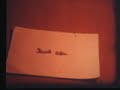 airliners