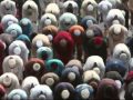 New Eid Al Adha Nasheed...